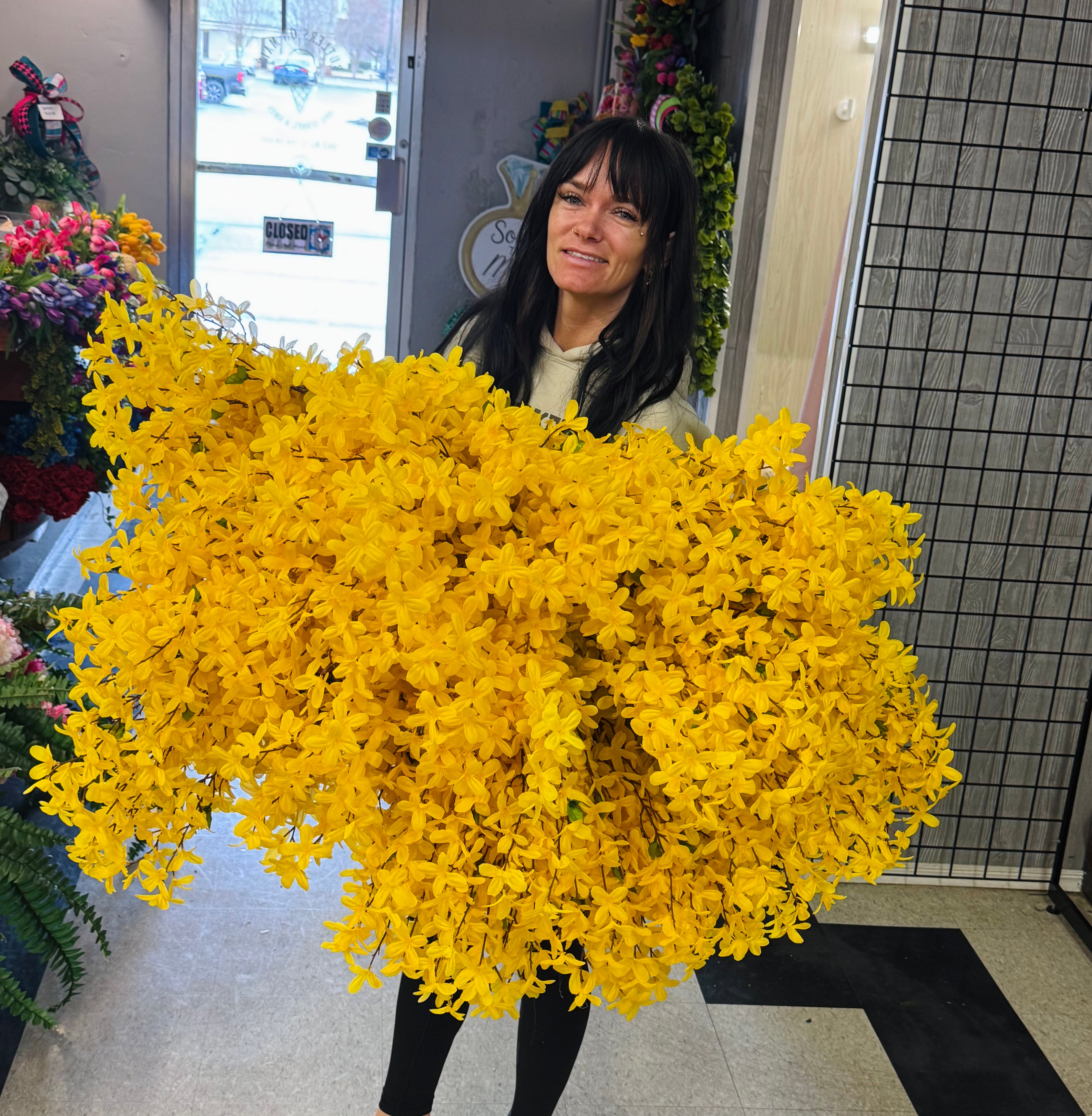 Forsythia Bush