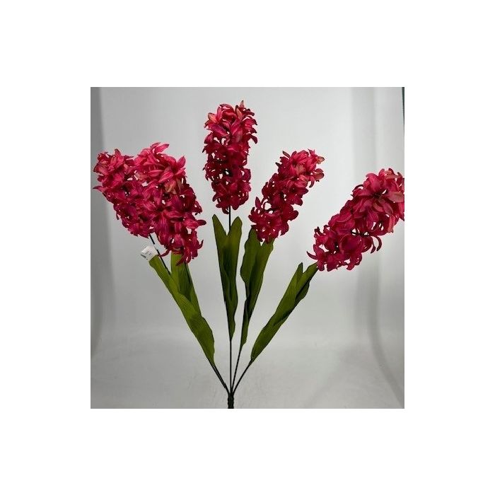 Hyacinth Bush