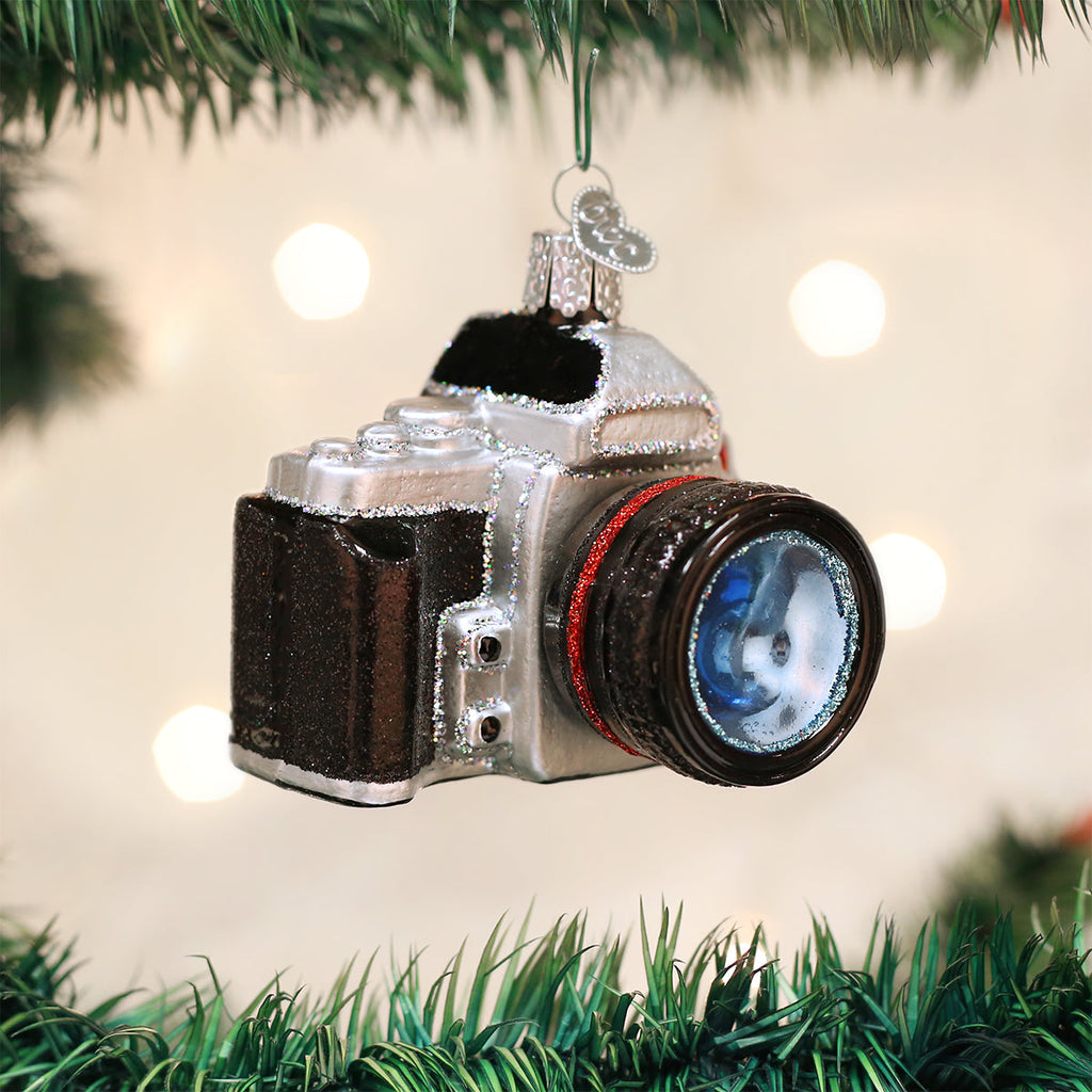 Camera Ornament-0