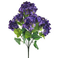 Hydrangea Bush