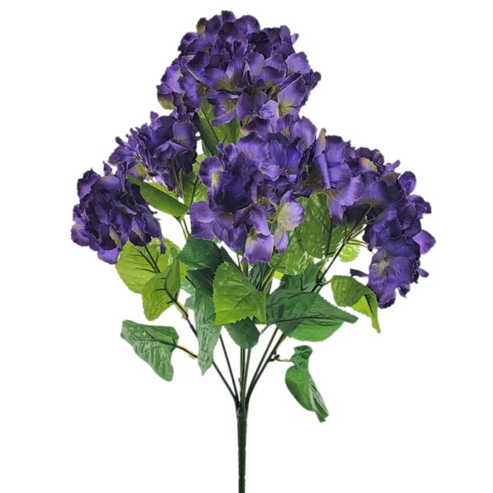 Hydrangea Bush