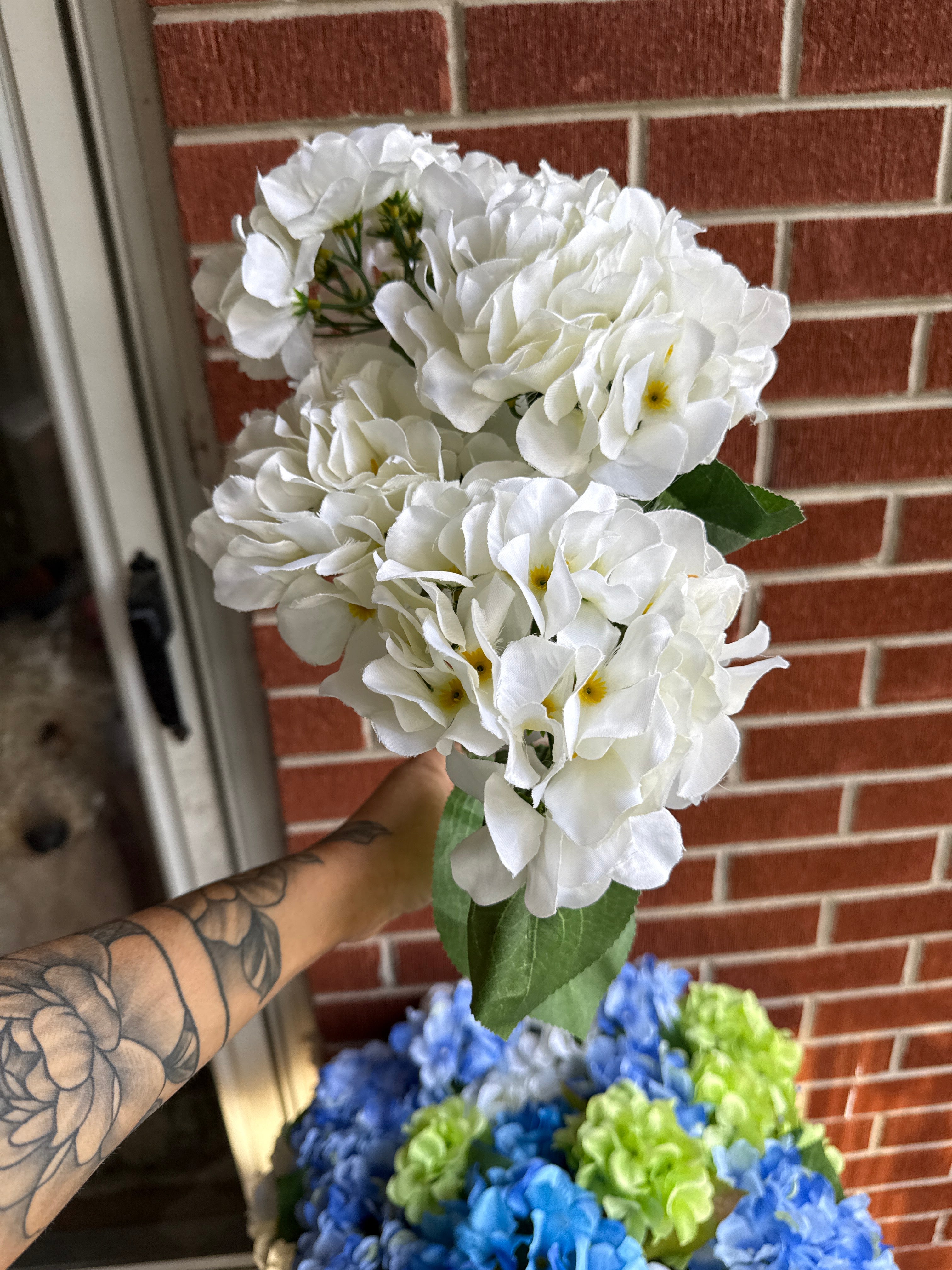 Hydrangea Bush