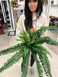 31” Silk Boston Fern