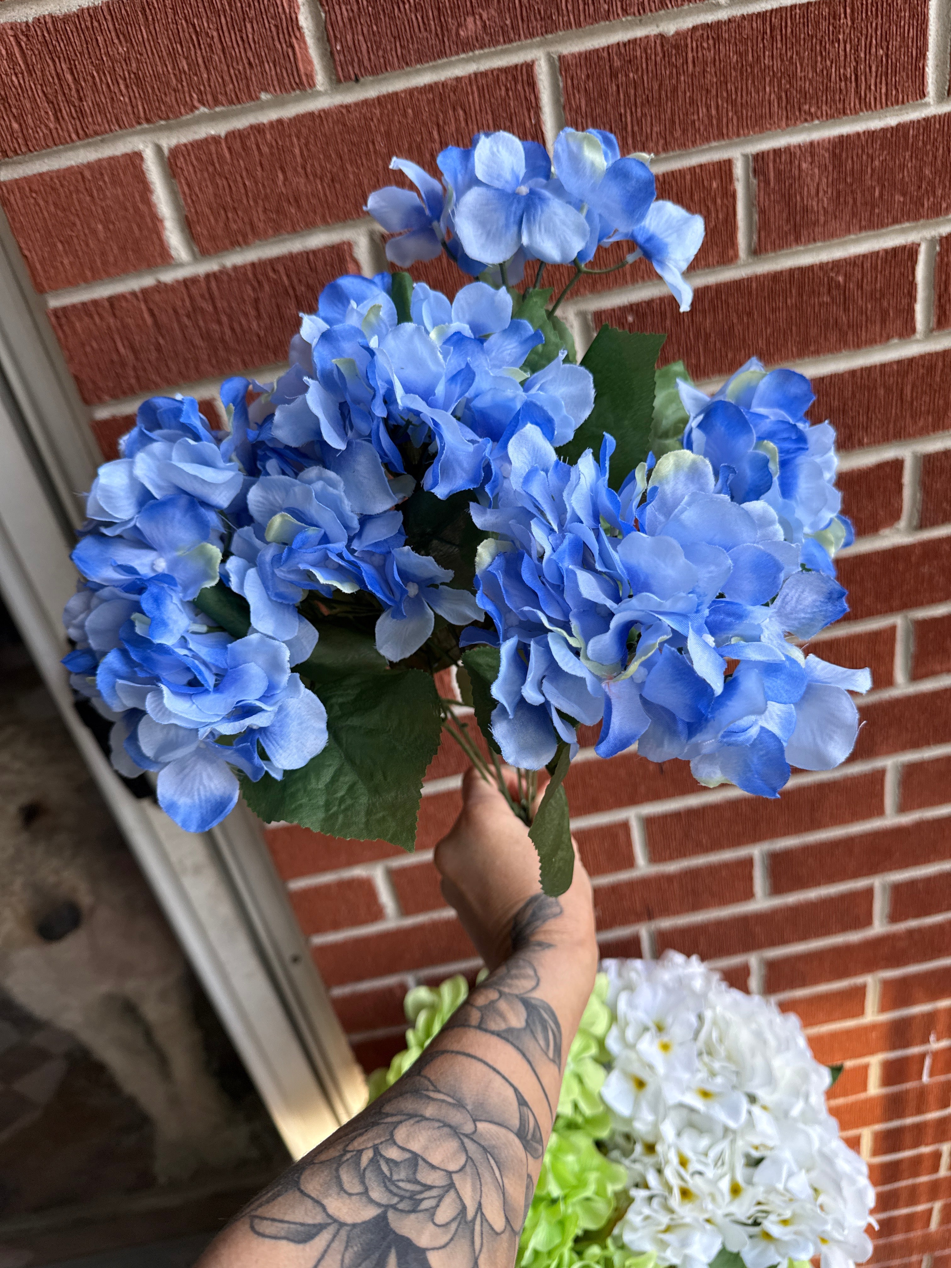 Hydrangea Bush