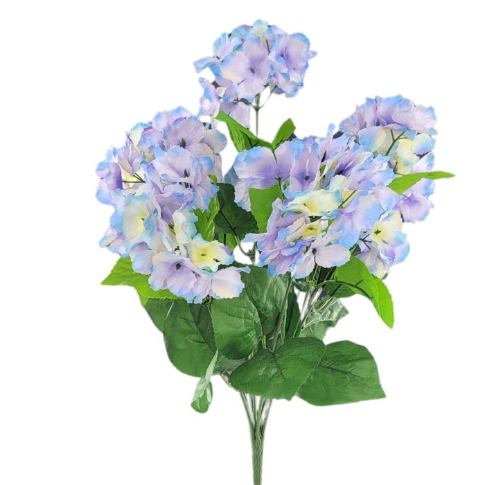 Hydrangea Bush