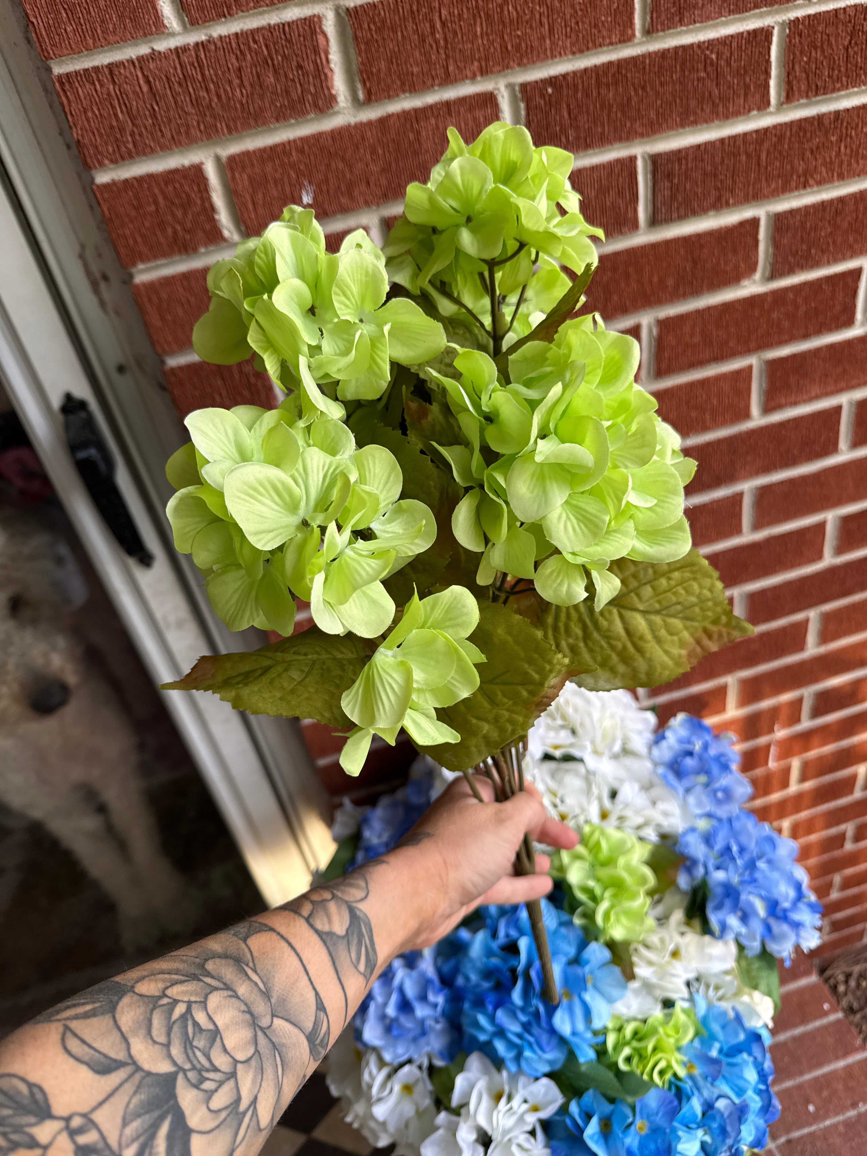 Hydrangea Bush