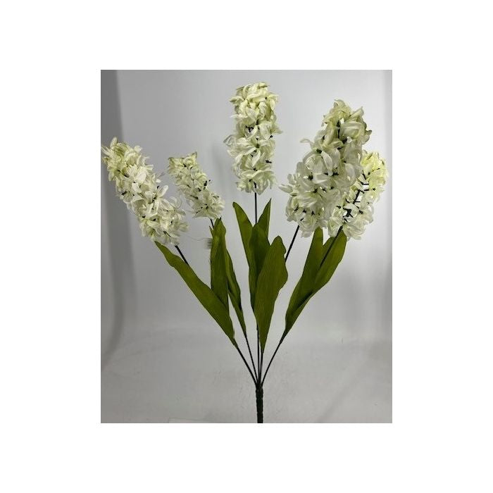 Hyacinth Bush