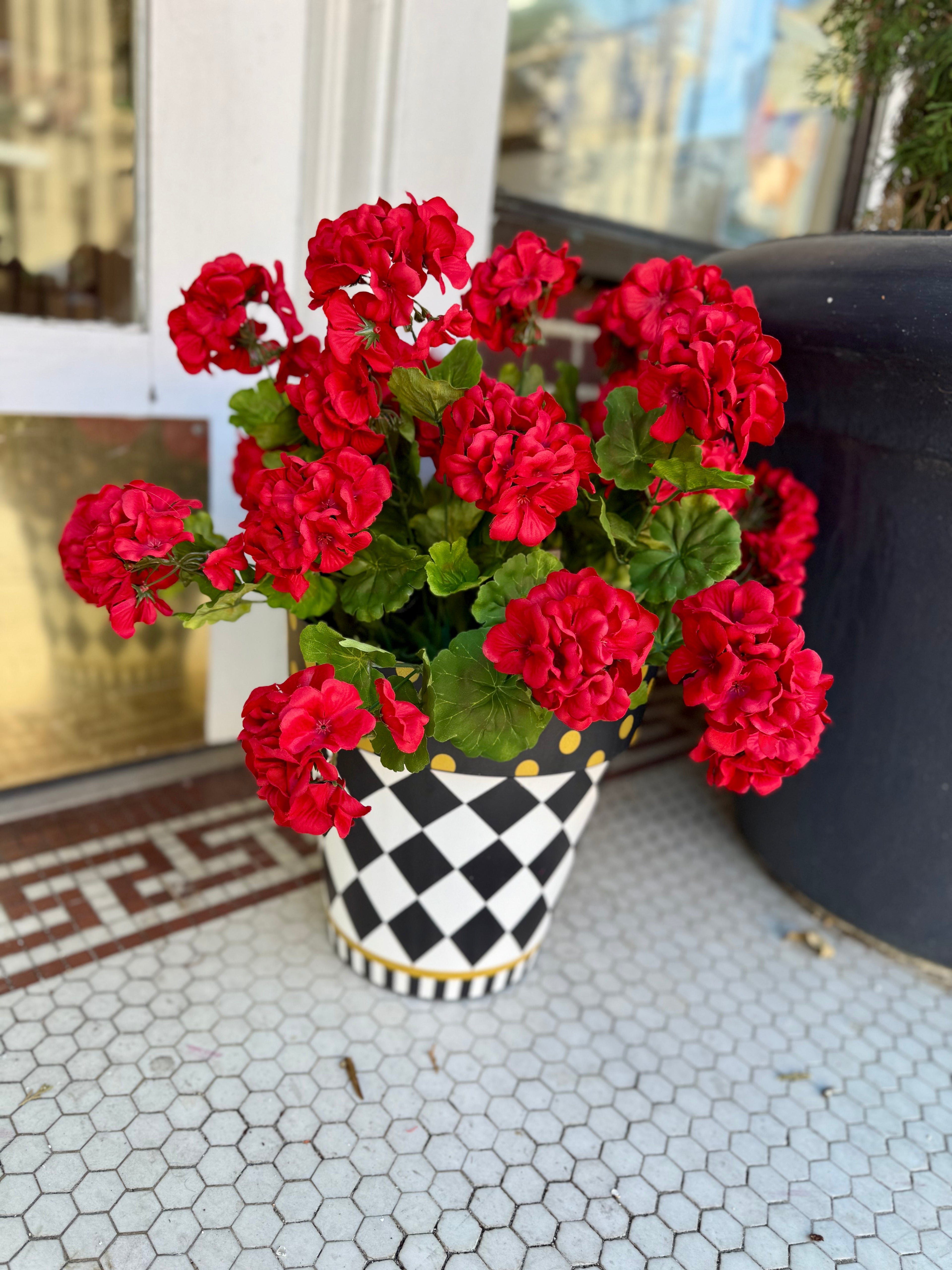 Geranium Bush