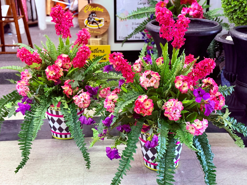 Hyacinth Bush