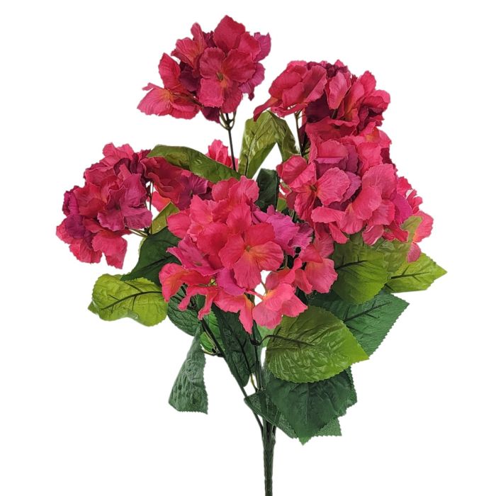 Hydrangea Bush
