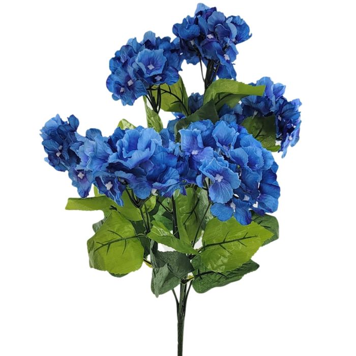 Hydrangea Bush