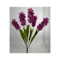 Hyacinth Bush