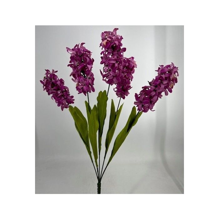 Hyacinth Bush