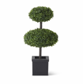 29.5" - 2 Disk Boxwood Royal Topiary Tree