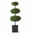 44.5" 3 Disk Boxwood Royal Topiary Tree