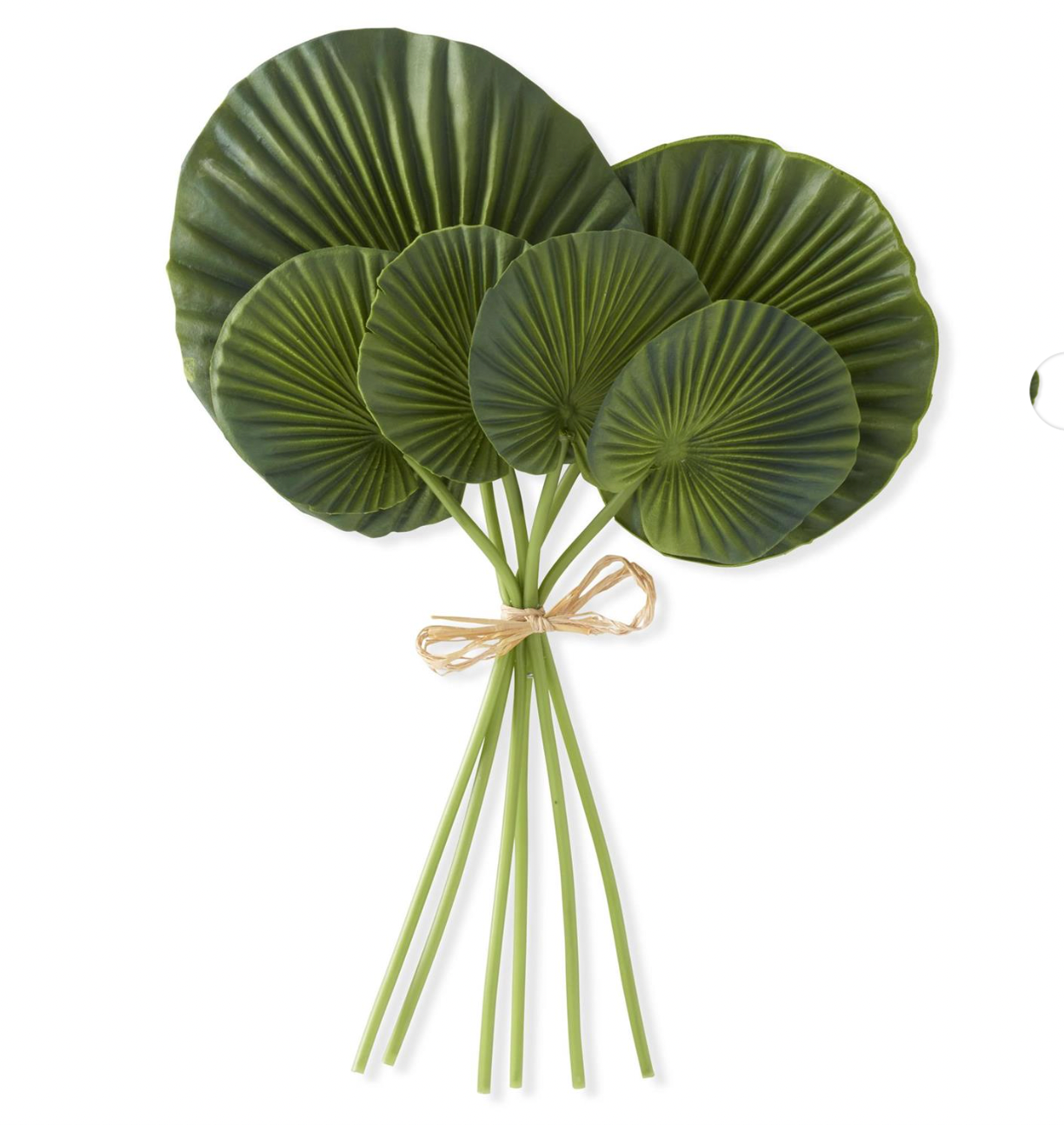 16" Real Touch Heart Shape Fan Palm Bundle (6 Stems)