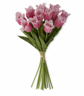 13" Mauve Real Touch Parrot Tulip Bundle (12 Stems)